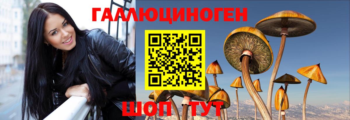Галлюциногенные грибы MAGIC MUSHROOMS Ивантеевка